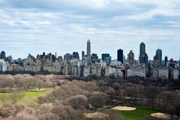 Central Park from apt winter